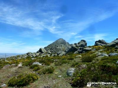 Pico del Zapatero, Sierra de la Paramera; informacion sobre el tejo; tarjeta federativa de montaña